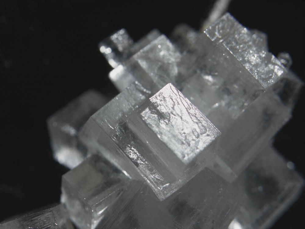 Potassium dissolving in water, filmed close up