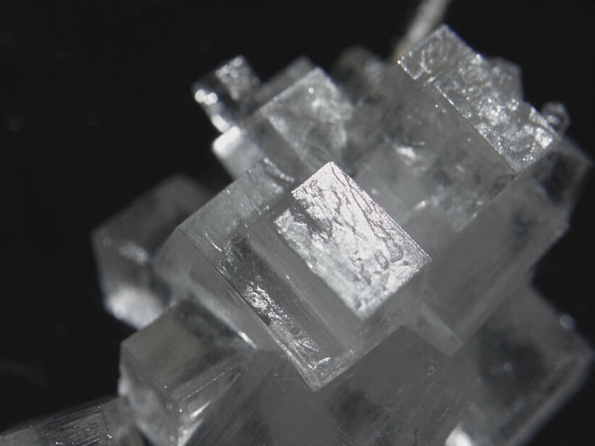 Potassium dissolving in water, filmed close up